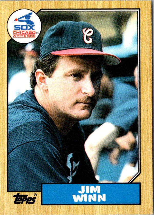 1987 Topps Traded Jim Winn #130T