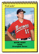 1991 ProCards Wayne Busby