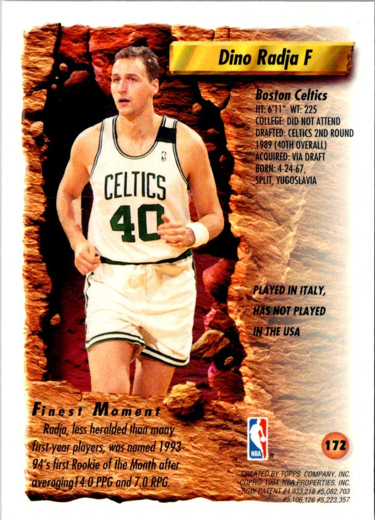 1993 Finest Dino Radja