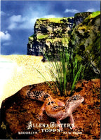 2011 Topps Allen & Ginter Ascent of Man Reptiles (Hylonomus) #AOM12
