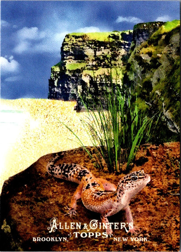 2011 Topps Allen & Ginter Ascent of Man Reptiles (Hylonomus) #AOM12