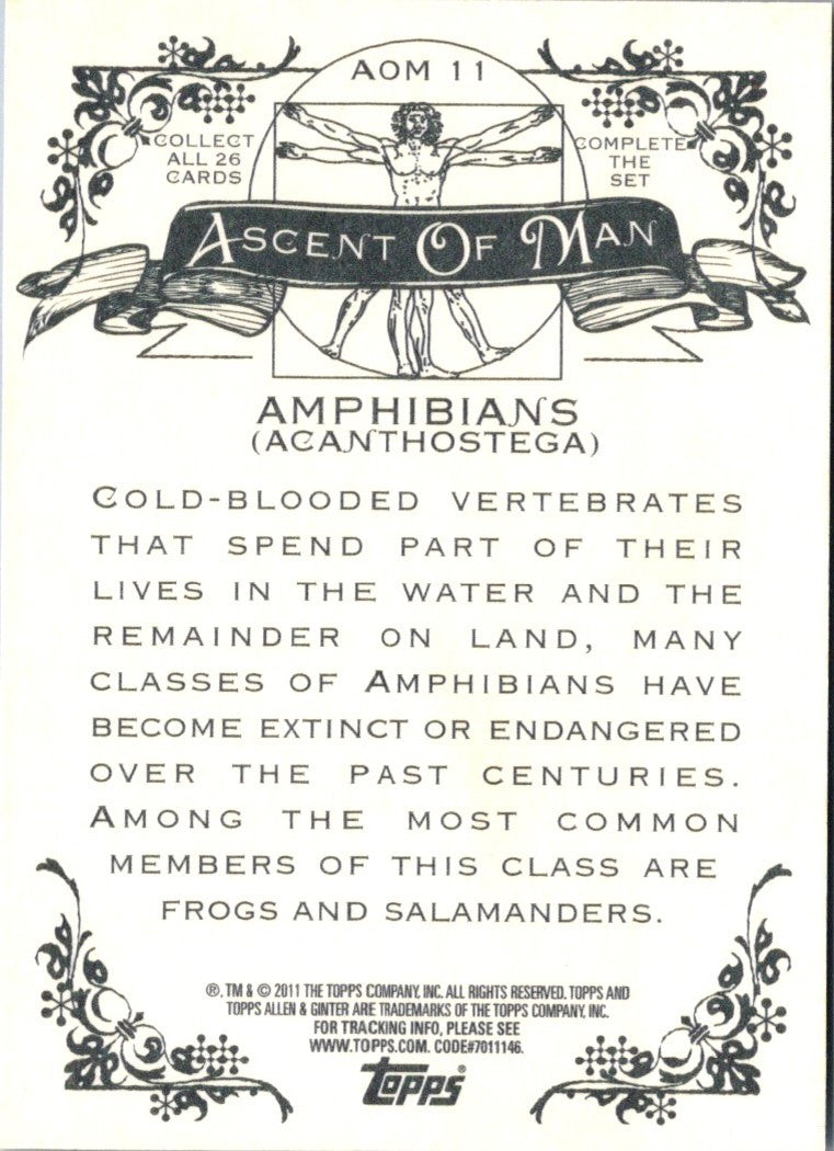 2011 Topps Allen & Ginter Ascent of Man Amphibians (Acanthostega)