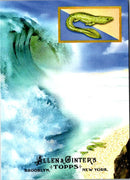 2011 Topps Allen & Ginter Ascent of Man Amphibians (Acanthostega)