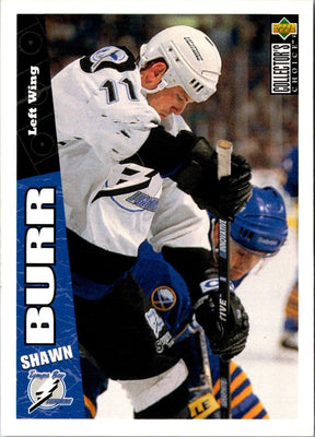 1996 Collector's Choice Shawn Burr #254