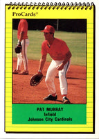 1991 ProCards Pat Murray #3985