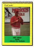 1991 ProCards Andy Bruce
