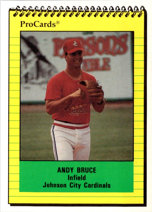 1991 ProCards Andy Bruce #3981
