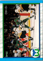 1989 O-Pee-Chee Hartford Whalers #304