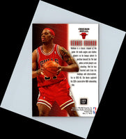2009 Upper Deck Exquisite Collection Eights Steve Kerr/Kirk Hinrich/Brad Miller/Joakim Noah/Derrick Rose/Dennis Rodman/Scottie Pippen/Tyrus Thomas #BULLS