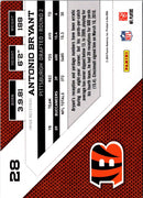 2010 Panini Rookies & Stars Antonio Bryant