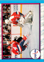 1989 O-Pee-Chee Washington Capitals #317