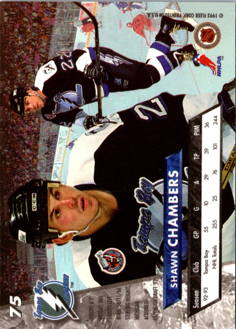 1993 Ultra Shawn Chambers