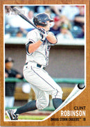 2011 Topps Heritage Minor League Clint Robinson