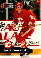 1991 Pro Set French Joe Nieuwendyk #29