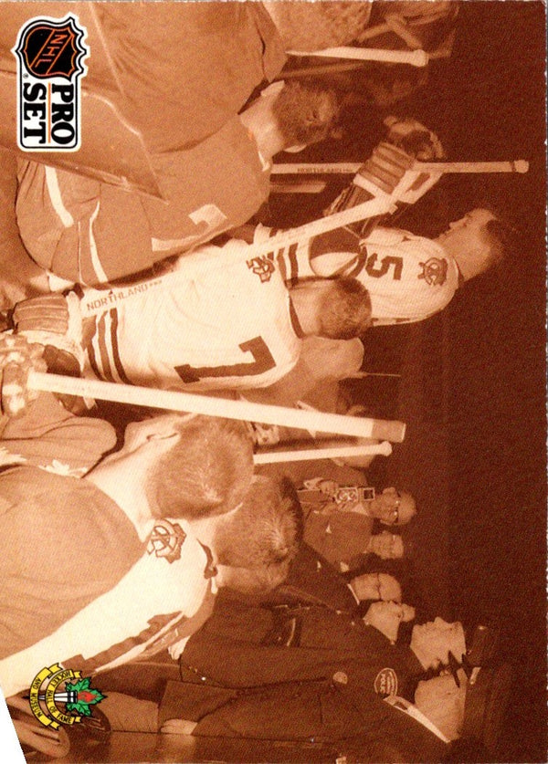 1991 Pro Set Arena Designs #342