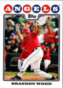 2008 Topps Brandon Wood