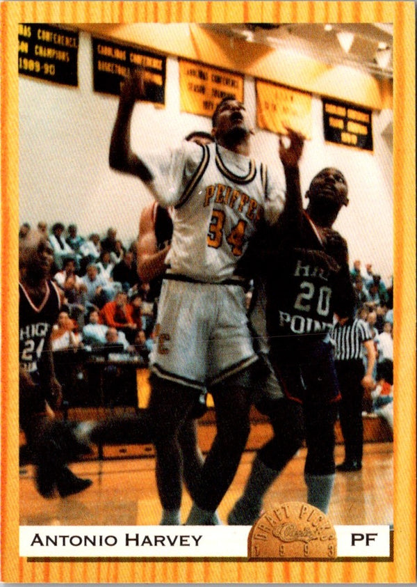 1993 Classic Draft Picks Antonio Harvey #41