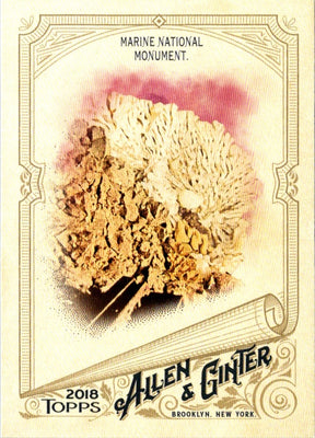 2018 Topps Allen & Ginter Marine National Monument #84