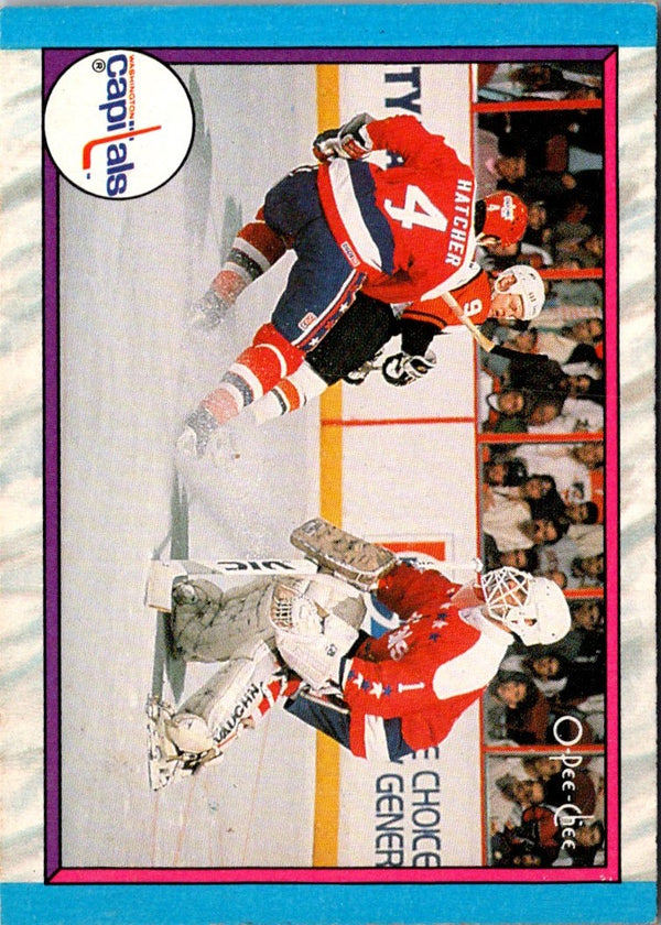1989 Opee Chee Washington Capitals #30A