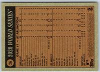 1999 Warning Track Albany-Colonie Diamond Dogs Homer the Heritage Hound #26