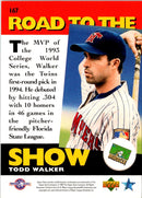 1995 Upper Deck Minors Future Stock Todd Walker