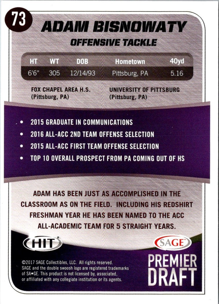 2017 SAGE HIT Adam Bisnowaty