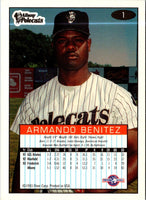 1993 Fleer Excel Armando Benitez #1