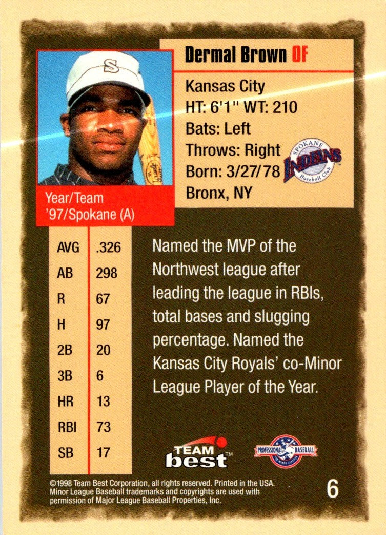 1998 Team Best Dermal Brown