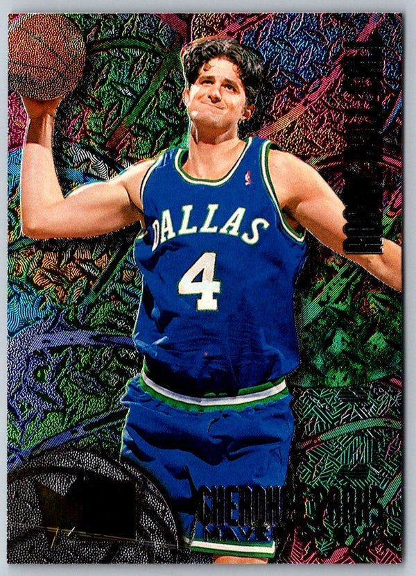 1995 Fleer European Dallas Mavericks #243