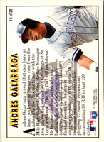 1994 Fleer Team Leaders Andres Galarraga #18