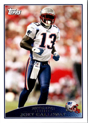 2006 Leaf Rookies & Stars Joey Galloway #96