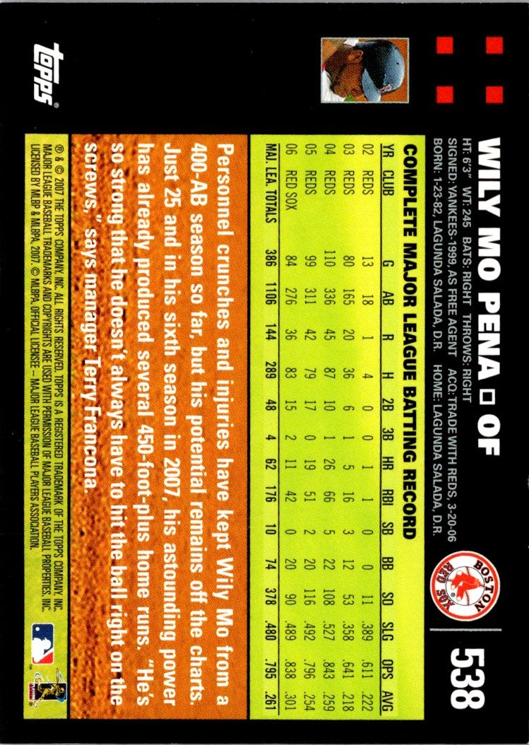 2007 Topps Wily Mo Pena