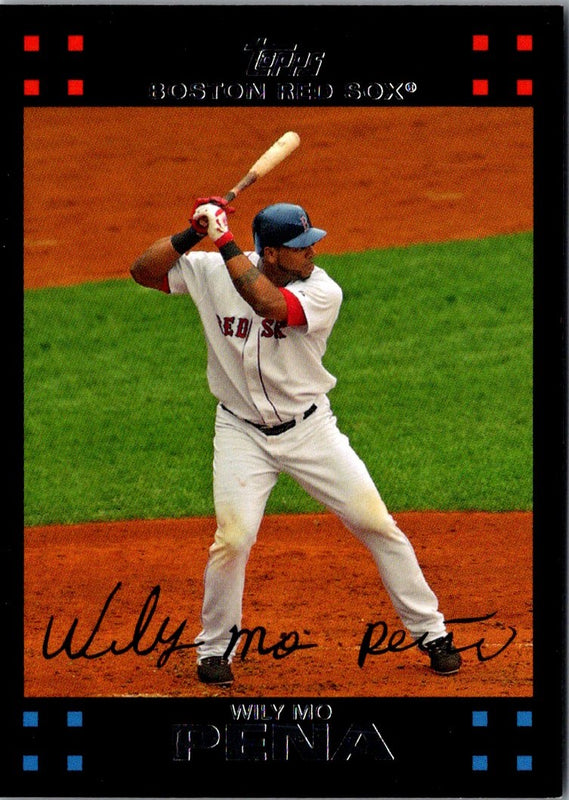 2007 Topps Wily Mo Pena #538