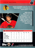 2002 Topps Steve Sullivan #48