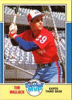 1988 Fleer Baseball MVP's Tim Wallach #42