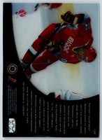 2002 Upper Deck Victory Pavel Bure #138