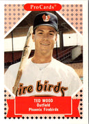 1991 ProCards Ted Wood