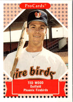 1991 ProCards Ted Wood #341