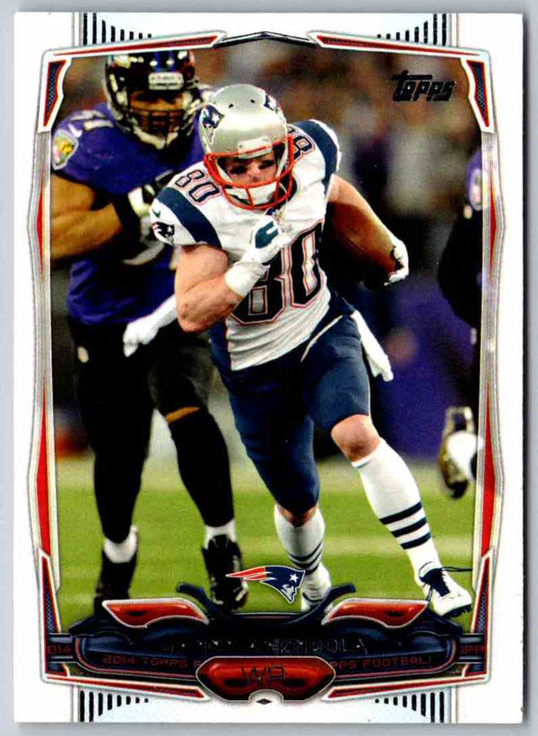 2014 Topps Danny Amendola #313