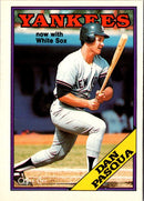 1988 O-Pee-Chee Dan Pasqua