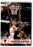 1993 Hoops Scottie Pippen
