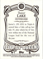 2014 Topps Gypsy Queen Junior Lake #214