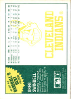1988 Fleer Baseball's Best Sluggers vs Pitchers Greg Swindell #41