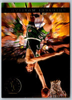 1993 Classic Gheorghe Muresan #41