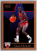 1990 Skybox Graig Hodges