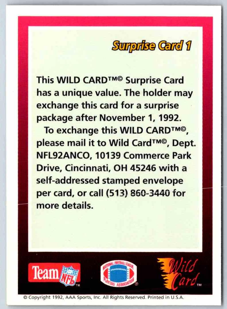 1991 ProLine Surprise Card