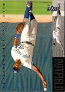 1992 Maxwell House Toronto Blue Jays 1978 Toronto Blue Jays Team Photo