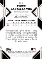 2019 Bowman Platinum Top Prospects Pedro Castellanos #TOP-87