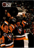 1991 Pro Set Mario Lemieux #318