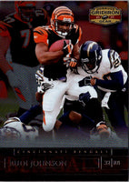 2007 Donruss Gridiron Gear Rudi Johnson #67